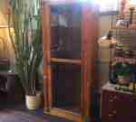 Display cabinet from a museum, light birch, antique, SOLD 2018-09-05